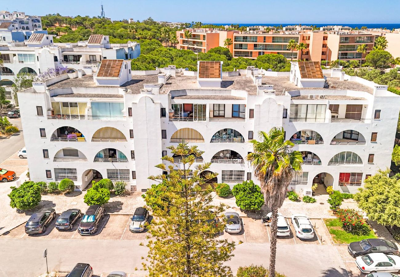 Apartamento em Guia - Salgados