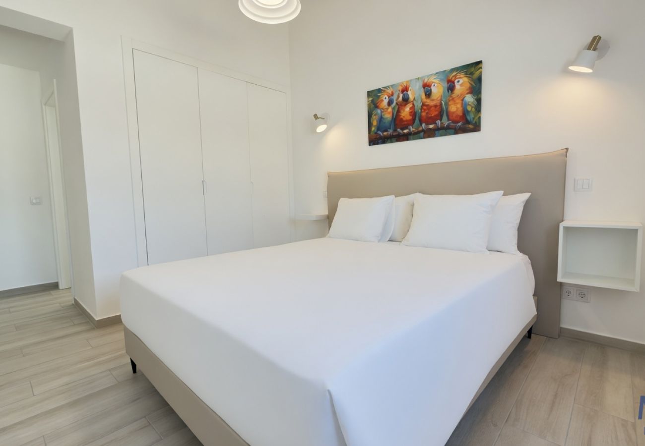 Alojamento de turismo rural em Silves - Quintal Chapin