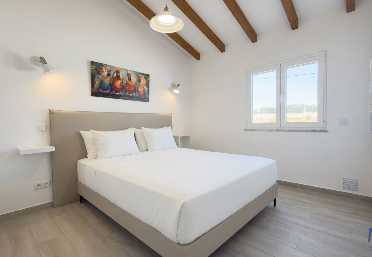 Alojamento de turismo rural em Silves - Quintal Chapin