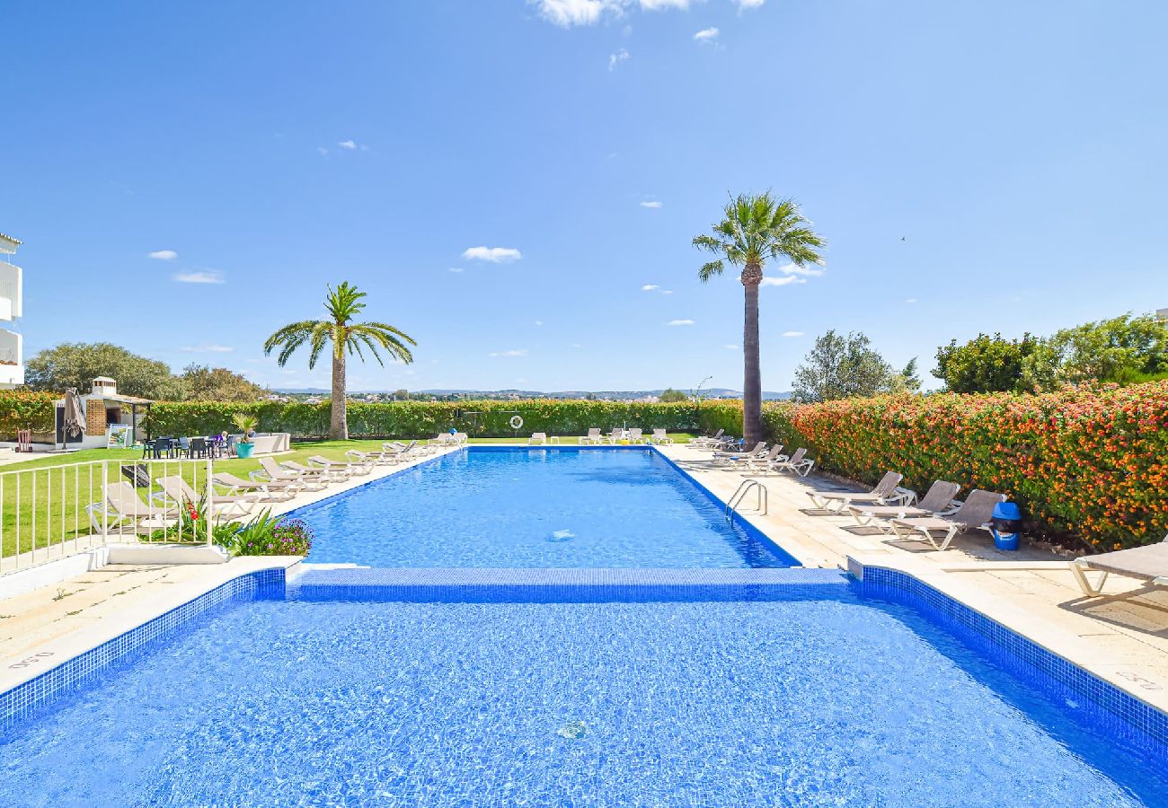 Appartement in Albufeira - Solar B