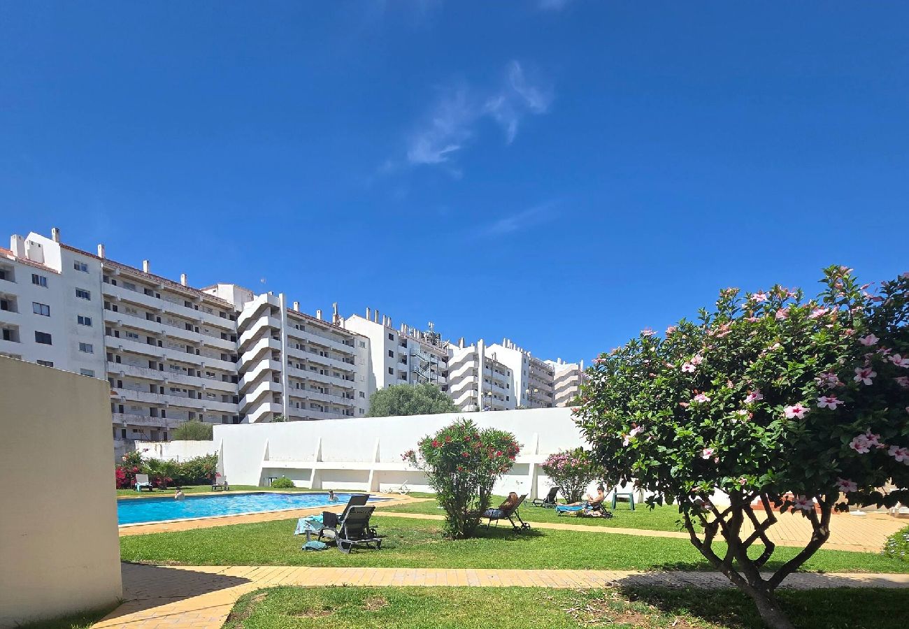 Apartment in Albufeira - VisaChoro