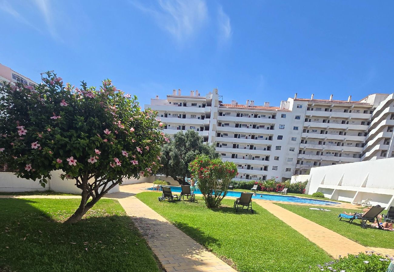 Apartment in Albufeira - VisaChoro