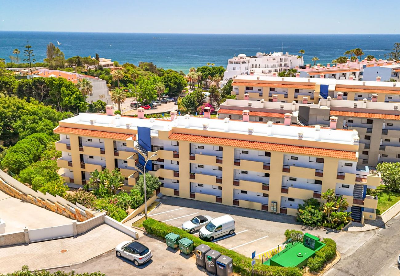 Apartamento en Albufeira - Bordalo